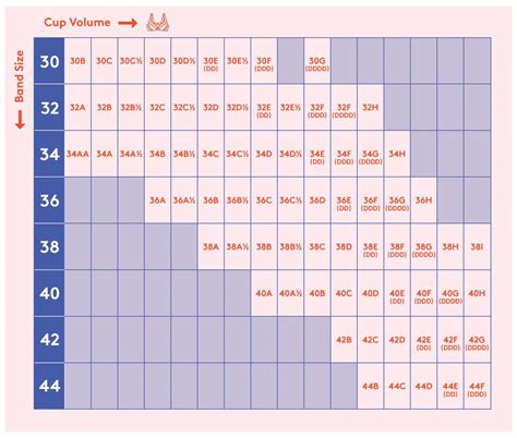 40 boobs|US Bra Size Chart In Inches and Centimeters